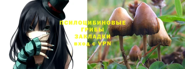 каннабис Алзамай