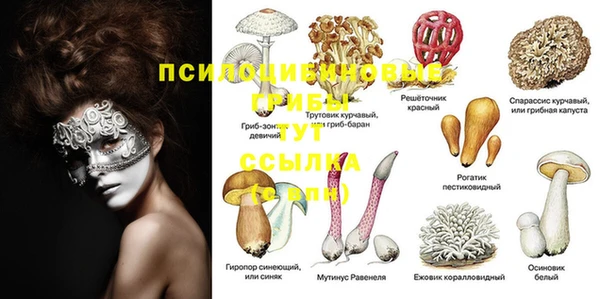 каннабис Алзамай